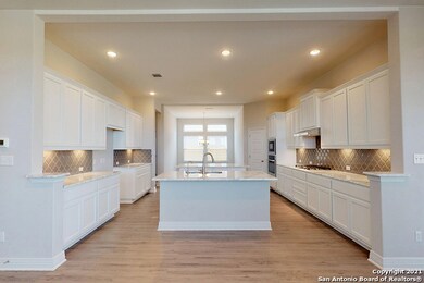 24968 Resort Pkwy, San Antonio, TX 78261 - photo 2