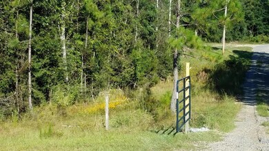 road lot 12