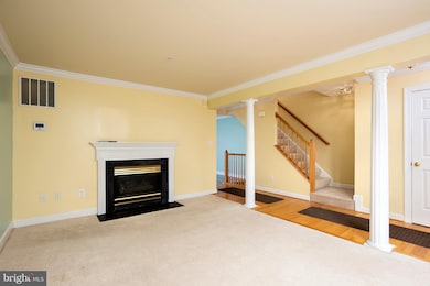 7961 Brightlight Place, Ellicott City, MD 21043 - photo 3