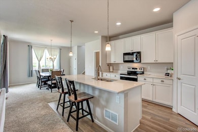 4505 Cholla Trail, Castle Rock, CO 80104 - photo 6