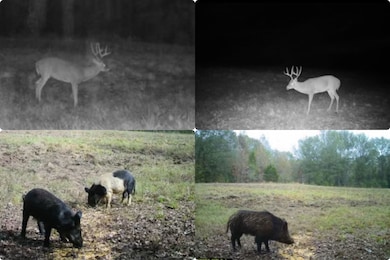 00 Hwy 69 Cr 484, Mineola, TX 75773 - photo 2