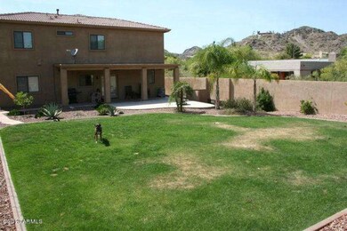 backyard 3