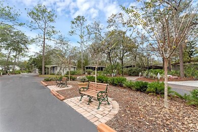 Cul De Sac in front of house