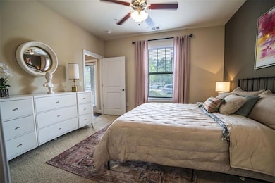 Carpeted bedroom with multiple windows and ceiling