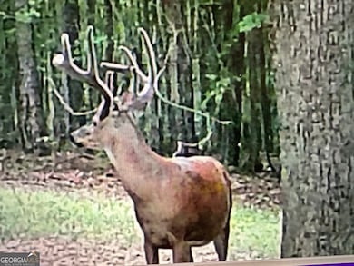 1070 Cedar Grove Dr, Buckhead, GA 30625 - photo 3