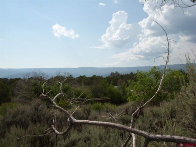 TBD Westridge Rd, Cedaredge, CO 81413 - photo 7