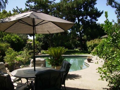 Beautiful backyard