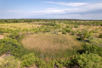 Lot 3 Hwy 279, Brownwood, TX 76801 - photo 5