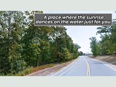 264 Bloomington Dr, Village of Four Seasons, MO 65049 - photo 4