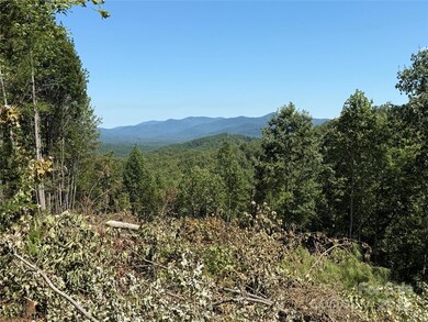 1187 Grandview Peaks Dr unit 187, Nebo, NC 28761 - photo 4