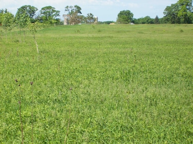 N3780 Fandrich St, Oxford, WI 53952 - photo 3