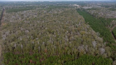 0 W Hawthorne Rd unit Rd, Leesville, LA 71446 - photo 3