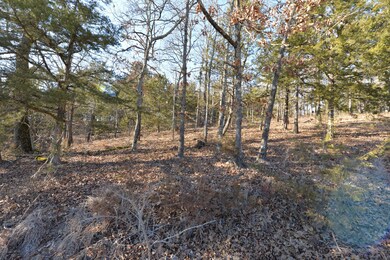 Tbd Peninsula Estates Ln, Ruth B Rural Township, MO 65686 - photo 7