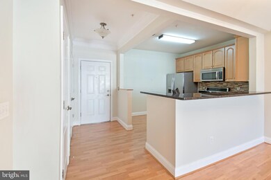 8616 Wintergreen Ct unit 308, Odenton, MD 21113 - photo 4