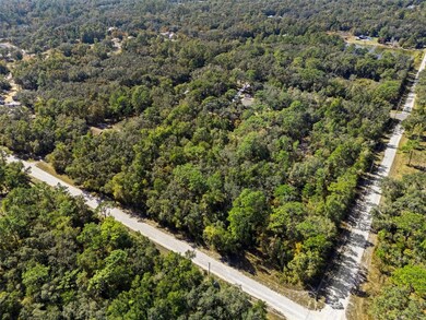 00 Norway St, Webster, FL 33597 - photo 3