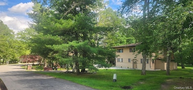 0 Chelsea Ln unit KEY937861, Thompson, NY 12775 - photo 3