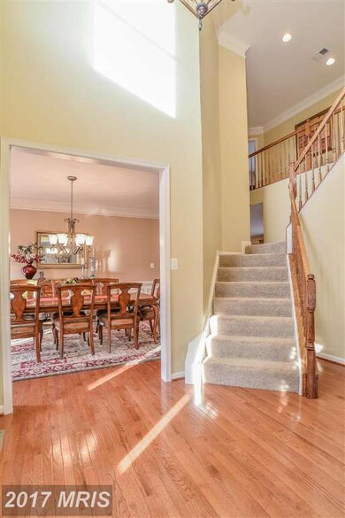 22252 Allspice Ct, Ashburn, VA 20148 - photo 3