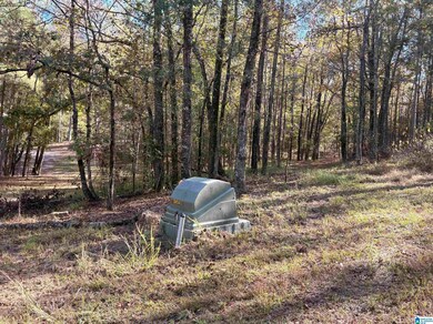 4540 Cabin Rd, McCalla, AL 35022 - photo 6