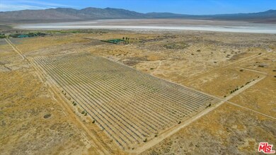 30 Acres of Pistachio Orchards