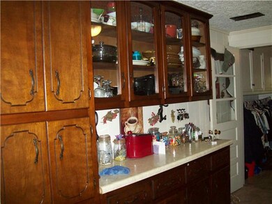 Glass front cabinet with large pantry.