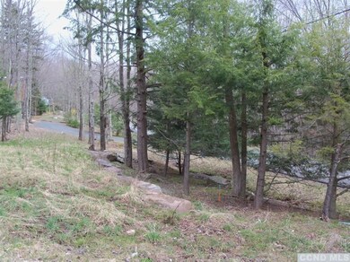 71 Hunter Ln, Hunter, NY 12492 - photo 7