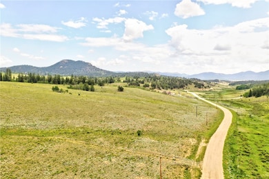 440 Sharps Way, Como, CO 80432 - photo 6