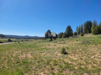 Looking across Lot