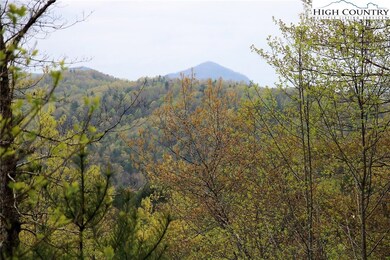 65 W Ridge Dr, Ferguson, NC 28624 - photo 4