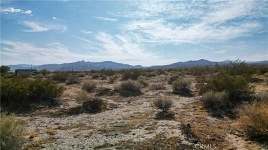 10313 Lake Rd, Cantil, CA 93519 - photo 4