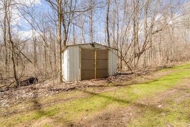 3221 E. Snow Road
