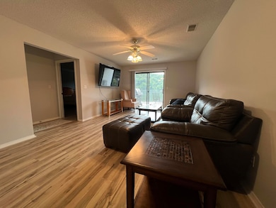 2529 State Highway 176 unit C2, Rockaway Beach, MO 65740 - photo 2