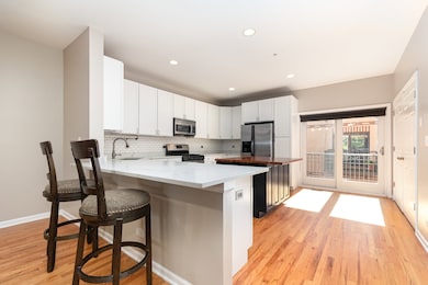 1022 Alexander Ln, Oak Park, IL 60302 - photo 5