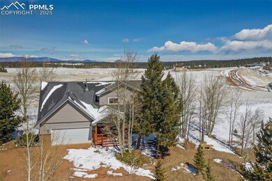 251 County Road 25, Divide, CO 80814 - photo 2