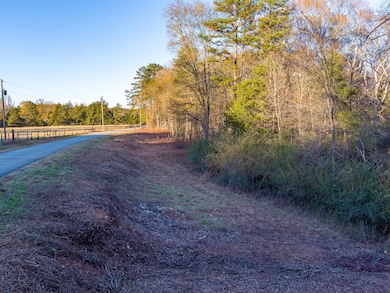 0 Marshall Tucker Rd, Pauline, SC 29374 - photo 5