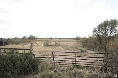 9765 N Uintah Canyon Hwy, Neola, UT 84053 - photo 3