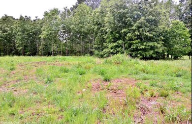 Lot 6 Cr 7612, Brookland, AR 72417 - photo 5