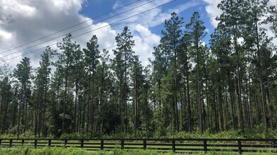 LOT 2 Griffin Rd - Heartwood Farms, Callahan, FL 32011 - photo 2