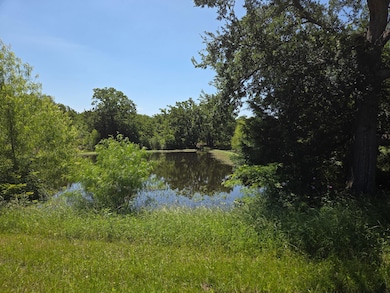 Lot 100 Lake Ridge Dr, Streetman, TX 75859 - photo 4