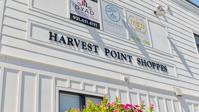 408 Wild Iris Way, Spring Hill, TN 37174 - photo 7