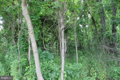 28 Mile Trail, Fairfield, PA 17320 - photo 5