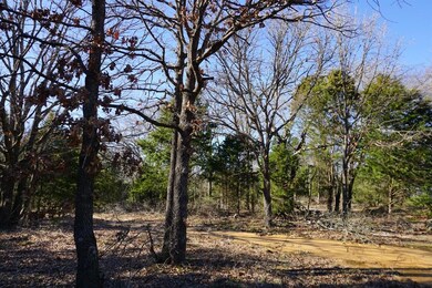 01 Private Road 5204, Athens, TX 75751 - photo 4