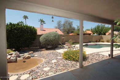 back yard pond