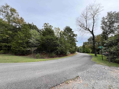 137 Shore Dr, Shirley, AR 72153 - photo 3