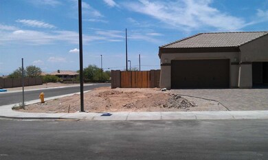 Double Gate to Back Yard