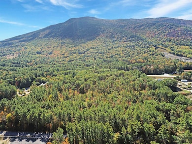 4 Whittier Rd, Tamworth, NH 03890 - photo 7