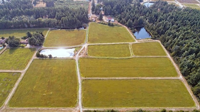 DJI_0055