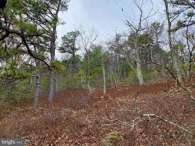 TBD U S Route 33, Franklin, WV 26807 - photo 7