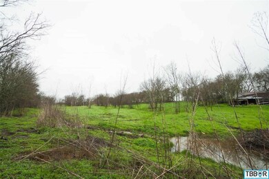 0 W Big Elm unit 9112805, Moody, TX 76557 - photo 4