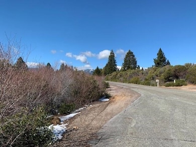 Lot 8 Twin View Ct, Mount Shasta, CA 96067 - photo 3