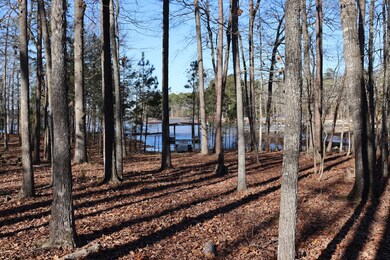 1049 Lakeside Dr, Lincolnton, GA 30817 - photo 6